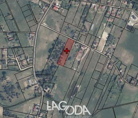 Działka Sprzedaż Łośno