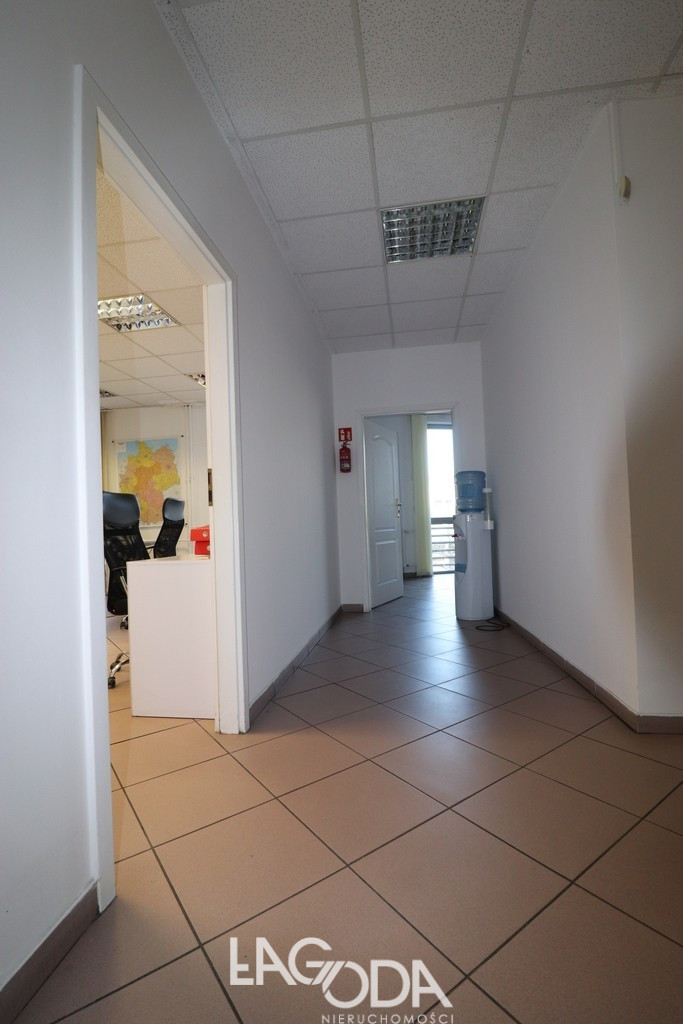 Lokal Wynajem Gorzów Wielkopolski Śródmieście