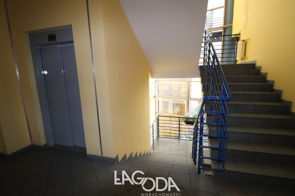 Lokal Wynajem Gorzów Wielkopolski Śródmieście