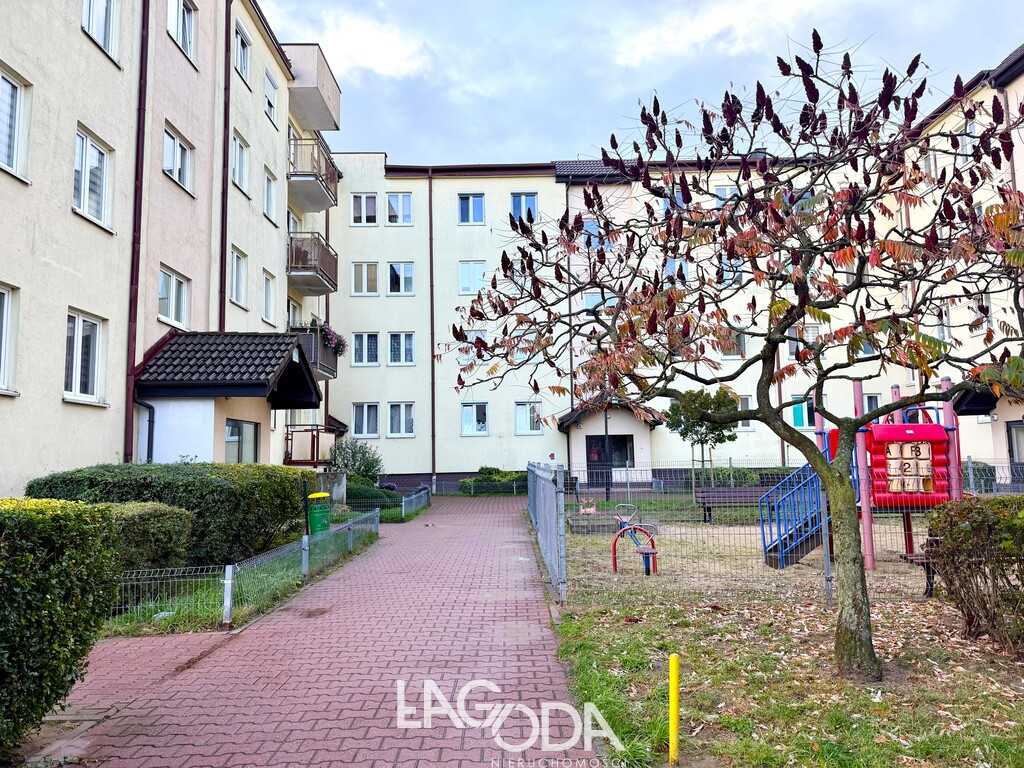 Mieszkanie Wynajem Gorzów Wielkopolski