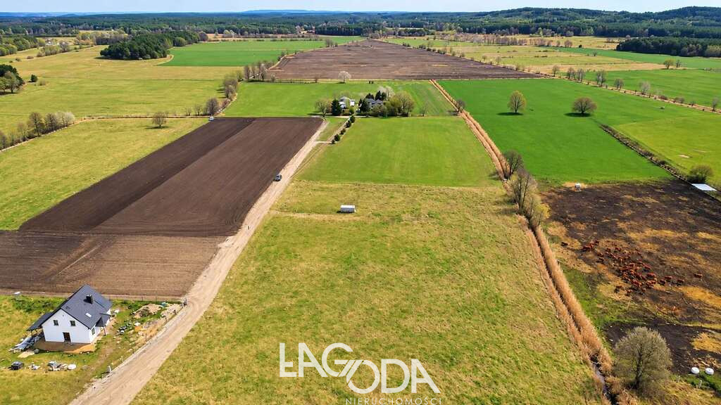 Działka Sprzedaż Skwierzyna