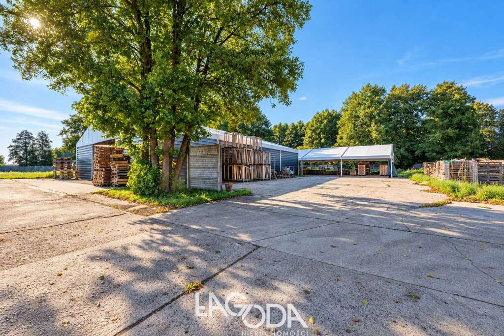 Działka Sprzedaż Deszczno