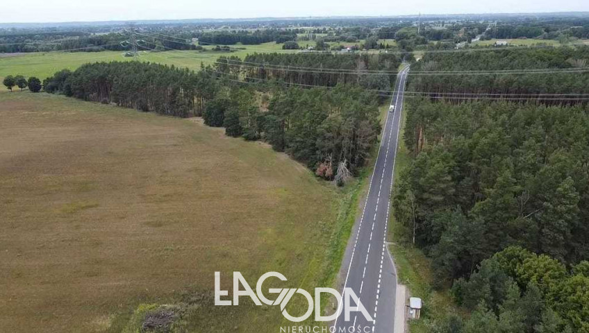 Działka Sprzedaż Kiełpin