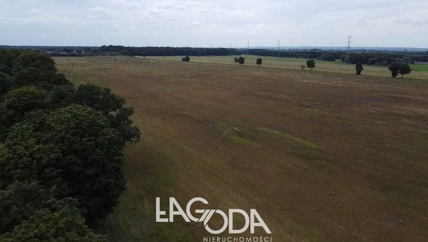 Działka Sprzedaż Kiełpin