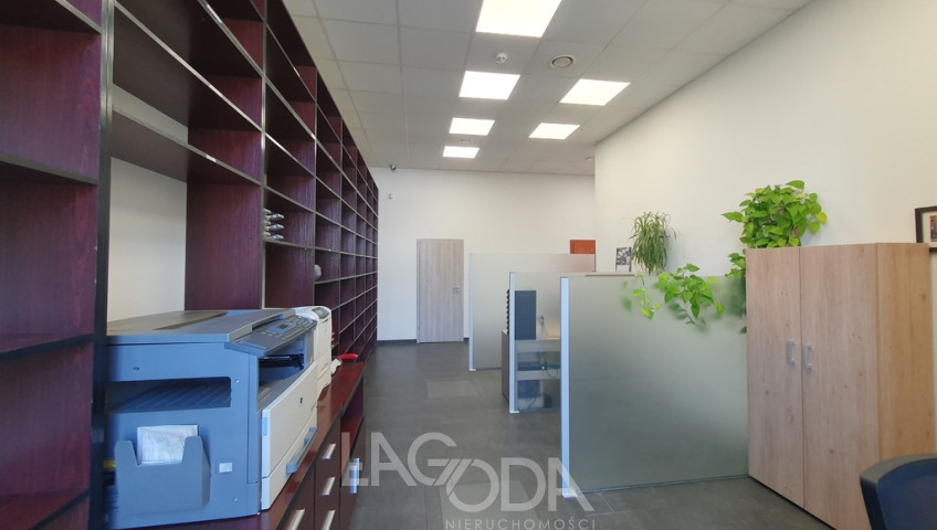 Lokal Sprzedaż Gorzów Wielkopolski