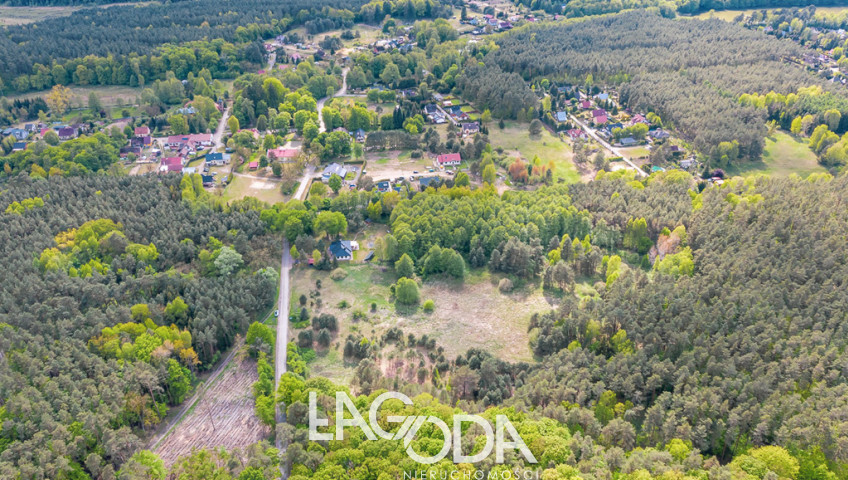 Działka Sprzedaż Santoczno