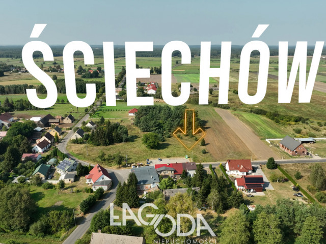 Działka Sprzedaż Ściechów