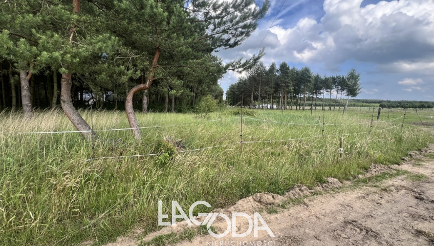 Działka Sprzedaż Danków