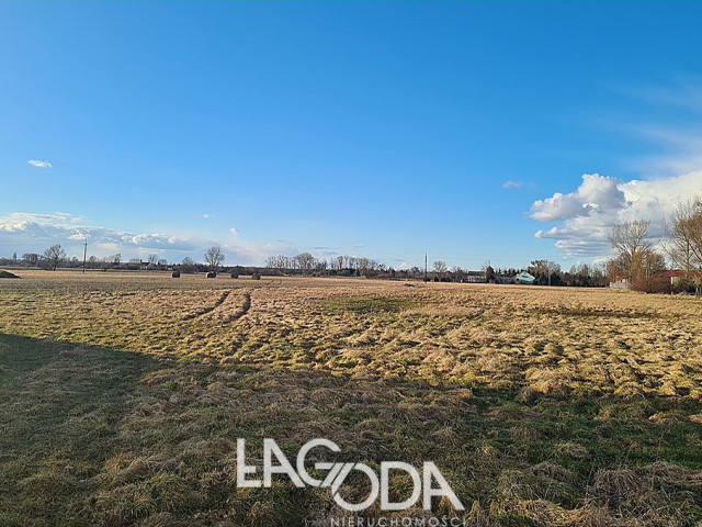 Działka Sprzedaż Krasowiec