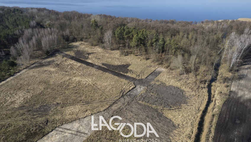 Działka Sprzedaż Dąbrowa
