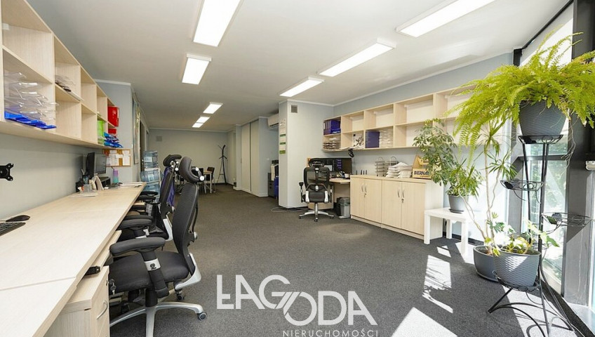 Lokal Sprzedaż Gorzów Wielkopolski Centrum