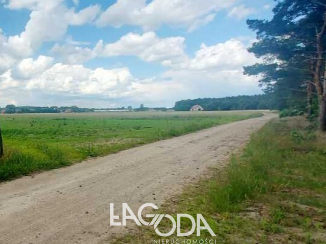 Działka Sprzedaż Dziersławice