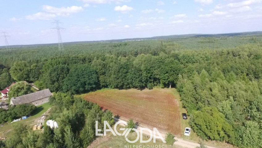 Działka Sprzedaż Kozin