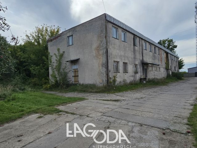 Obiekt Sprzedaż Dębno Chojeńska