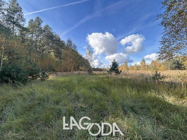 Działka Sprzedaż Bledzew