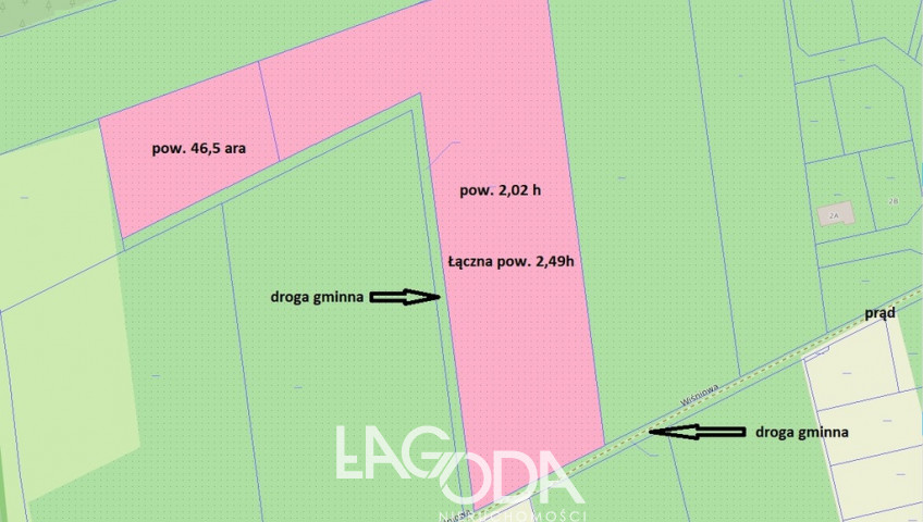 Działka Sprzedaż Skwierzyna Międzyrzecka