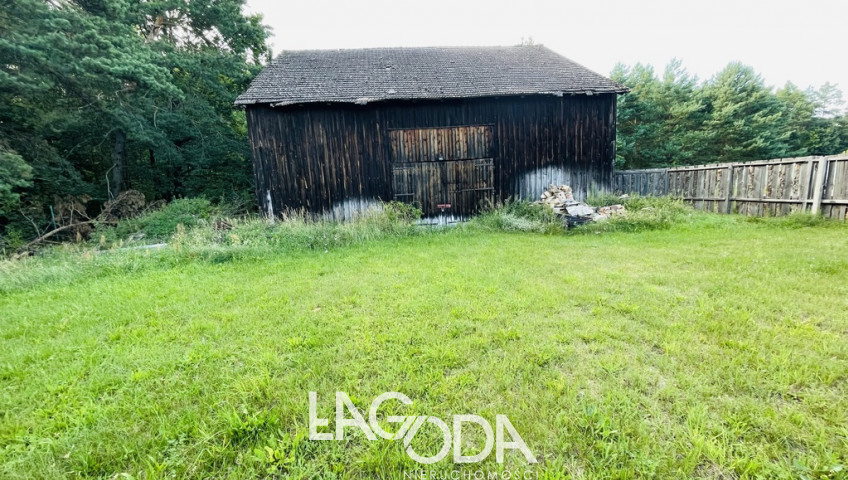 Działka Sprzedaż Kłodawa