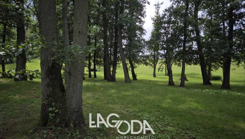 Działka Sprzedaż Stary Klukom