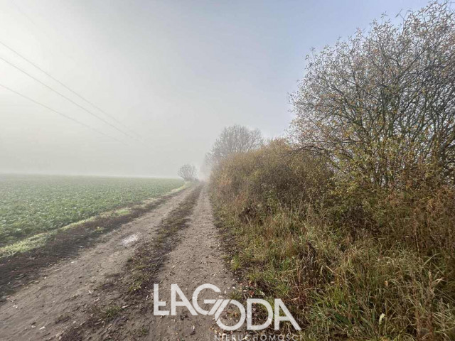 Działka Sprzedaż Ulim