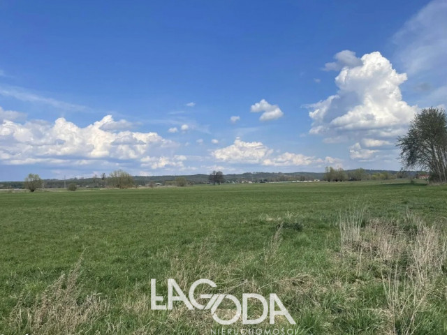 Działka Sprzedaż Pyrzany