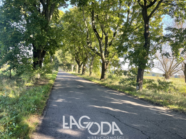 Działka Sprzedaż Pyrzany