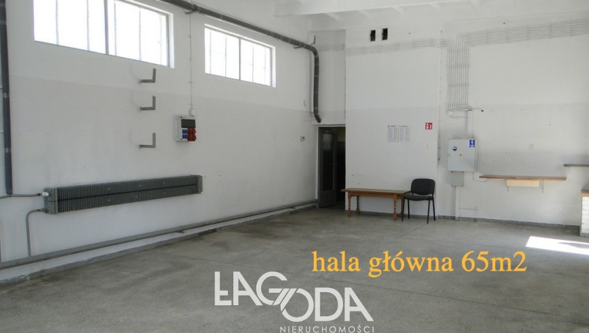 Dom Sprzedaż Gorzów Wielkopolski Śródmieście