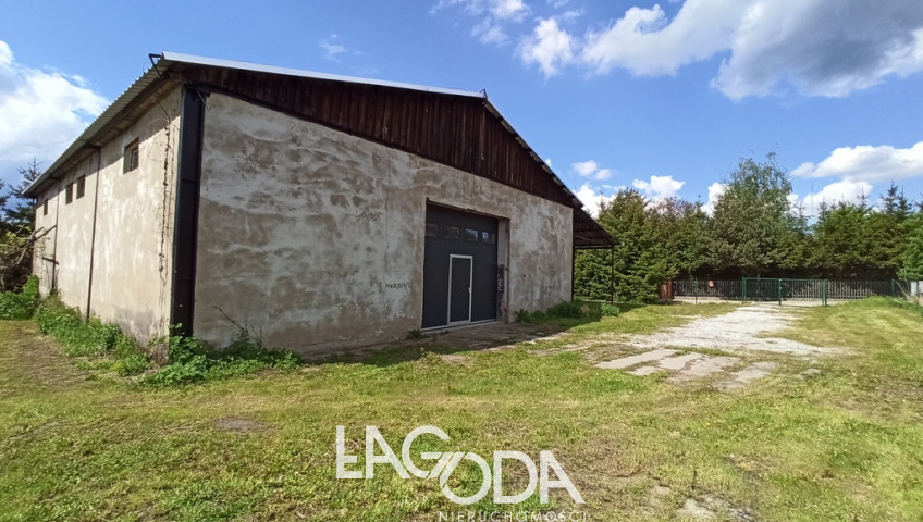 Obiekt Wynajem Kłodawa