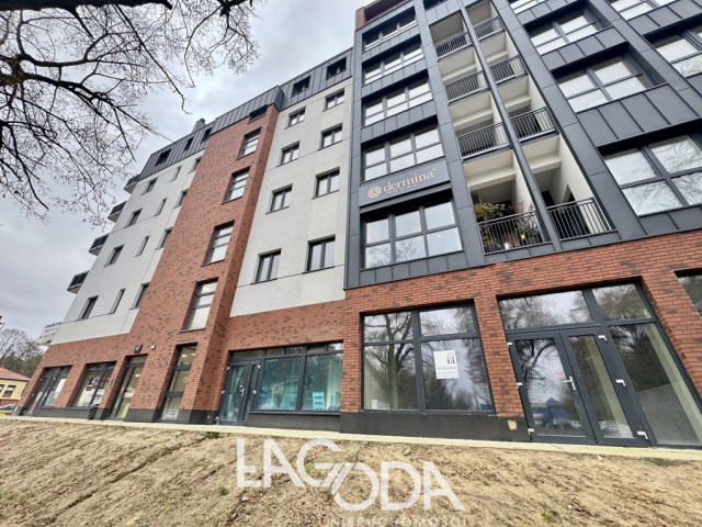 Lokal Wynajem Gorzów Wielkopolski Śródmieście