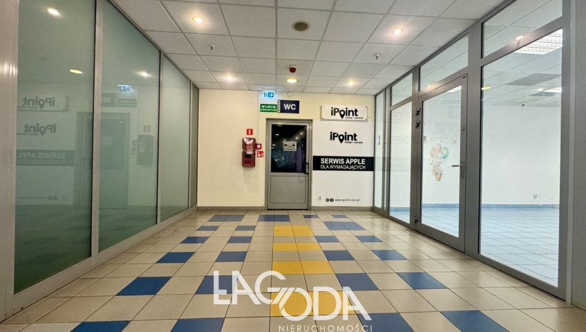 Lokal Wynajem Gorzów Wielkopolski Centrum