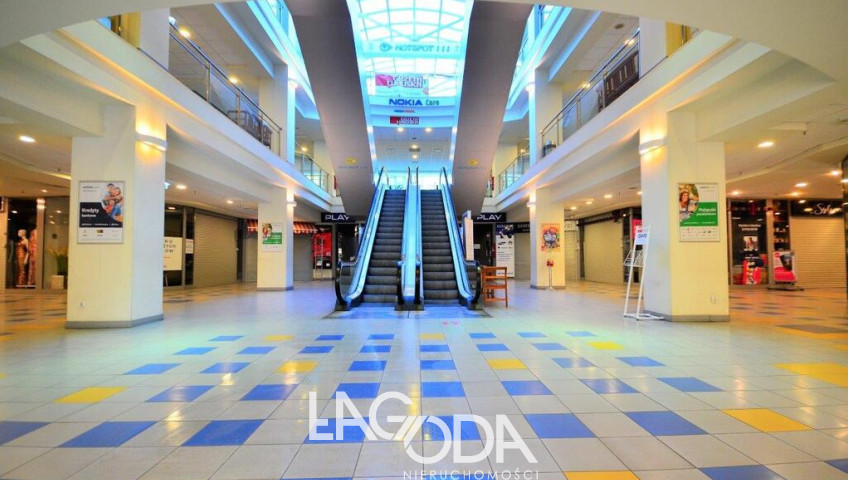 Lokal Wynajem Gorzów Wielkopolski Centrum