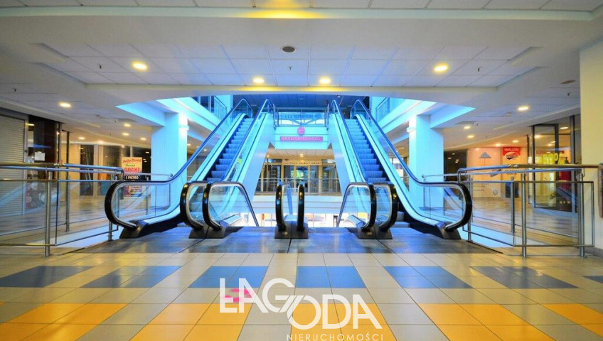 Lokal Wynajem Gorzów Wielkopolski Centrum