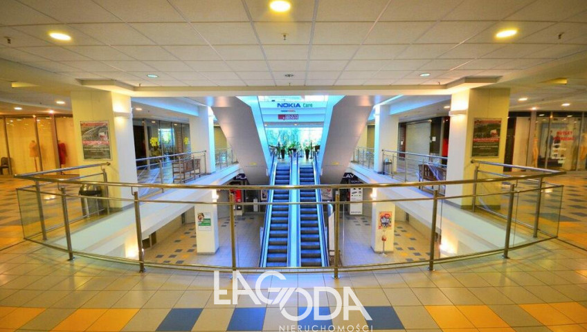 Lokal Wynajem Gorzów Wielkopolski Centrum