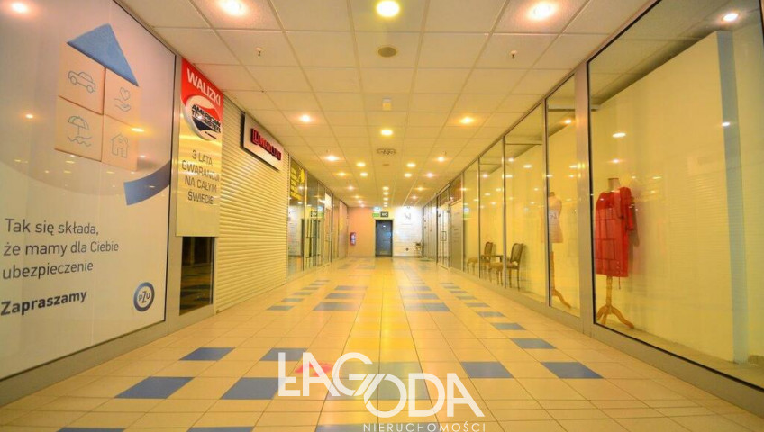 Lokal Wynajem Gorzów Wielkopolski Centrum