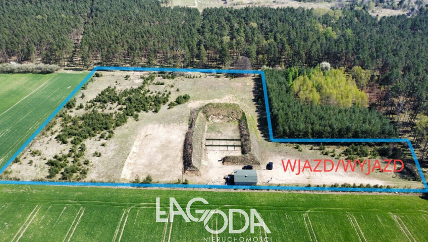 Działka Sprzedaż Płonno