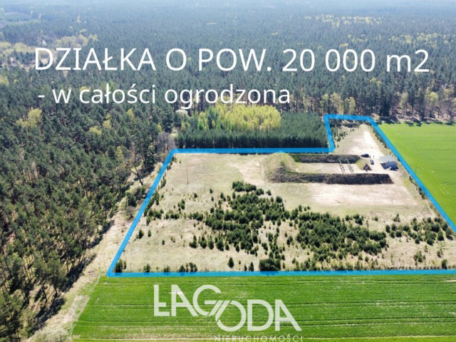 Działka Sprzedaż Płonno