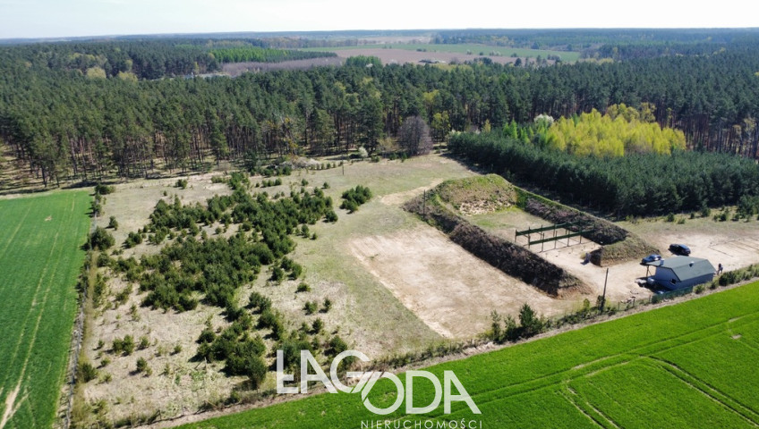 Działka Sprzedaż Płonno