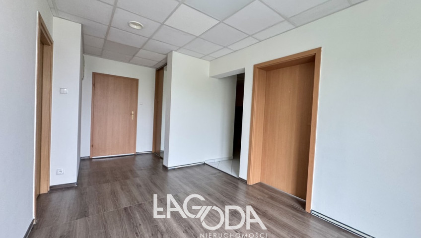 Lokal Wynajem Gorzów Wielkopolski Centrum