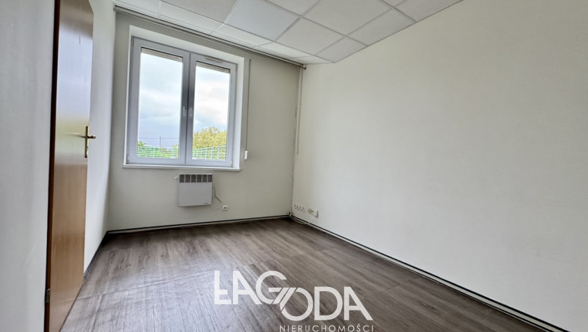 Lokal Wynajem Gorzów Wielkopolski Centrum