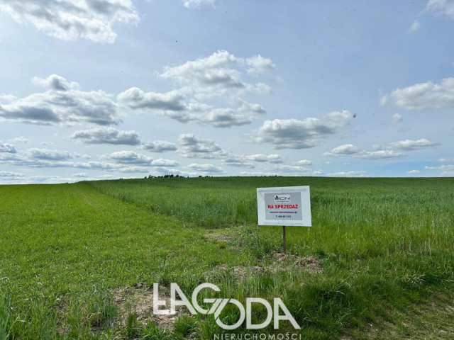 Działka Sprzedaż Janczewo