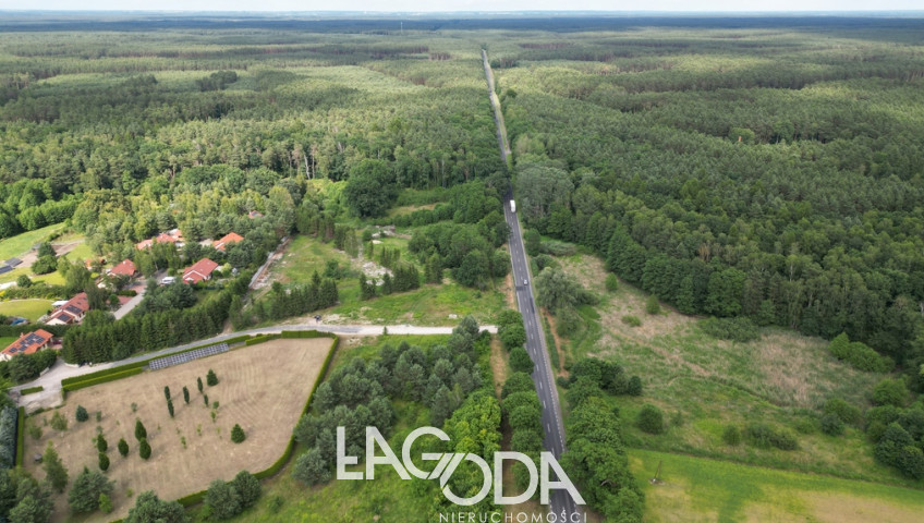 Działka Sprzedaż Różanki