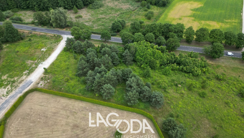 Działka Sprzedaż Różanki