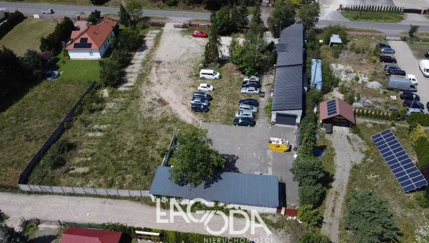 Lokal Wynajem Łagodzin