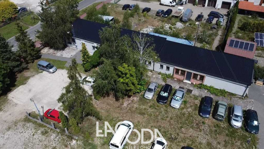 Lokal Wynajem Łagodzin