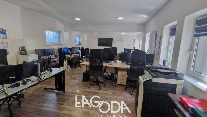 Lokal Wynajem Łagodzin