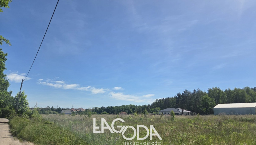 Działka Sprzedaż Gorzów Wielkopolski Górczyn