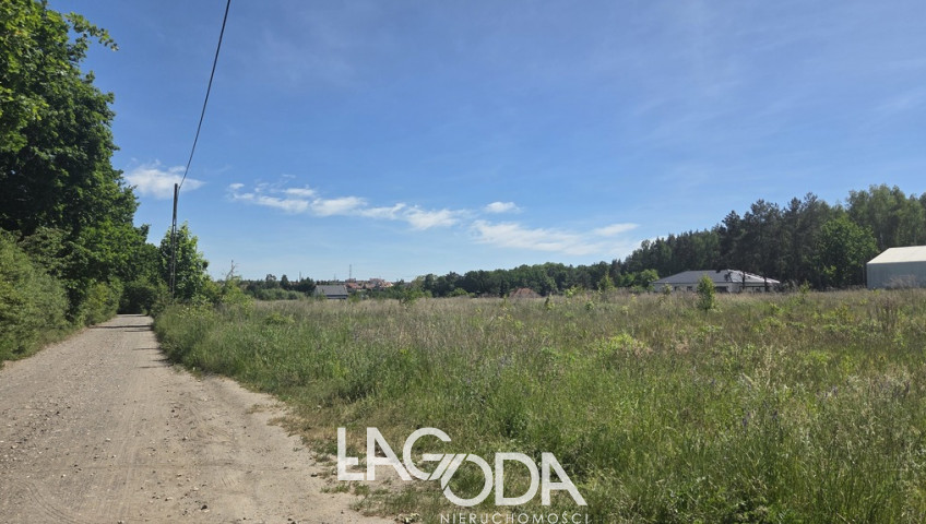 Działka Sprzedaż Gorzów Wielkopolski Górczyn