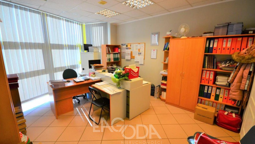 Lokal Wynajem Gorzów Wielkopolski Centrum