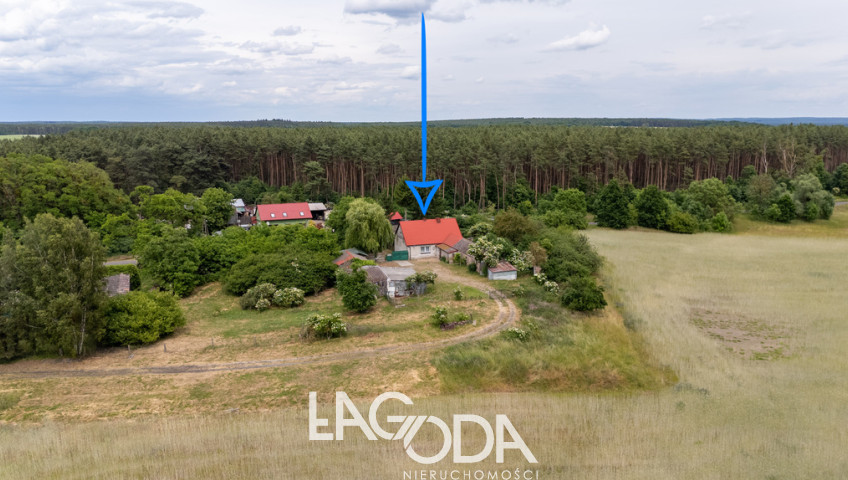 Dom Sprzedaż Mościce