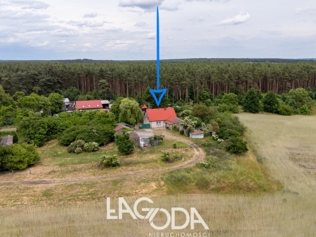 Dom Sprzedaż Mościce