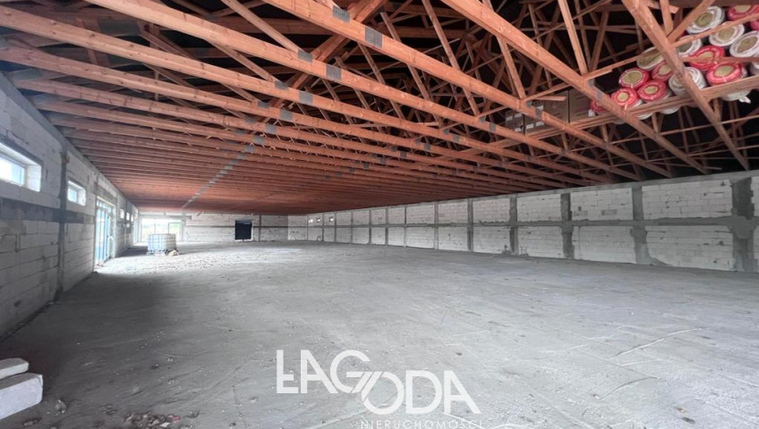 Lokal Wynajem Gorzów Wielkopolski